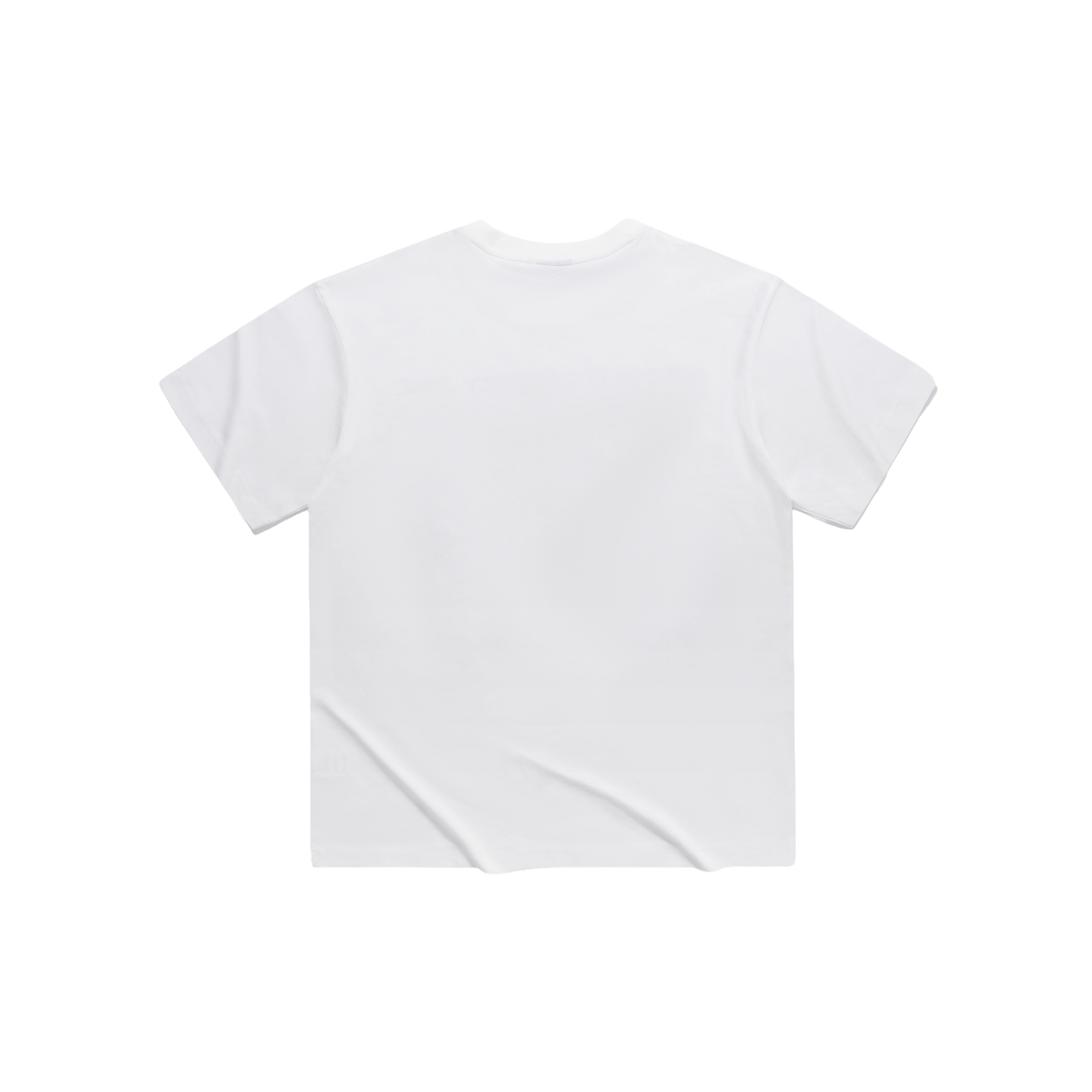 Canada Facts Tee
